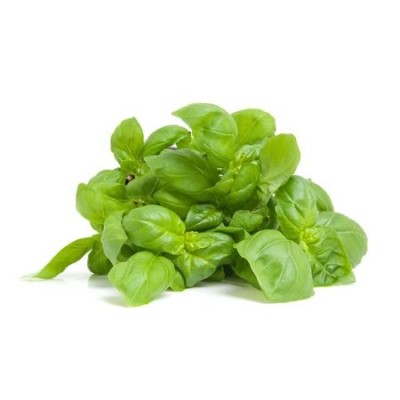 Fresh Basil (1/4 lb)