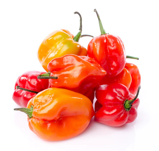 Habanero Peppers (1lb)