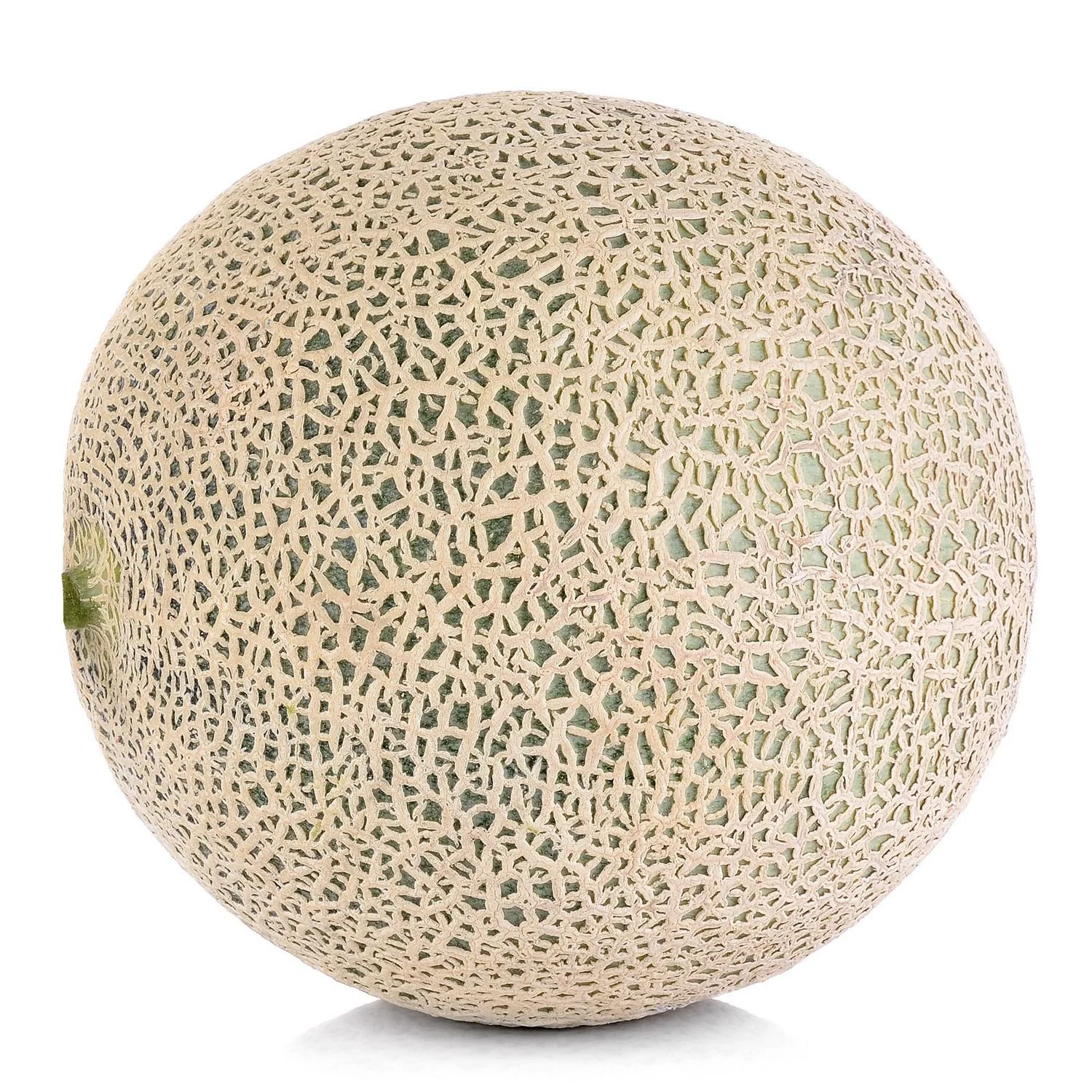 Cantaloupe (1ct)