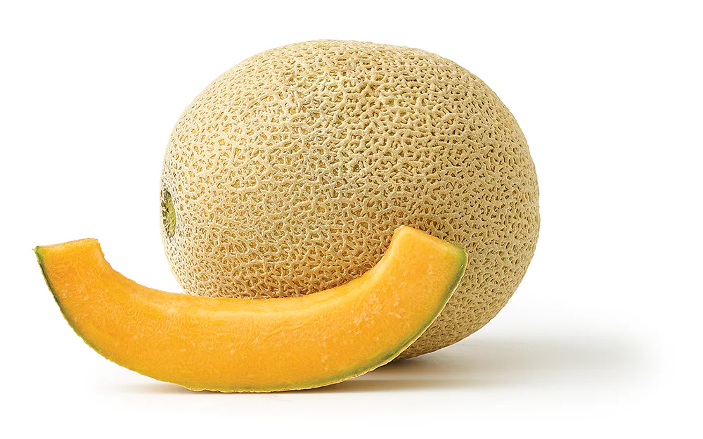 Cantaloupe (1ct)