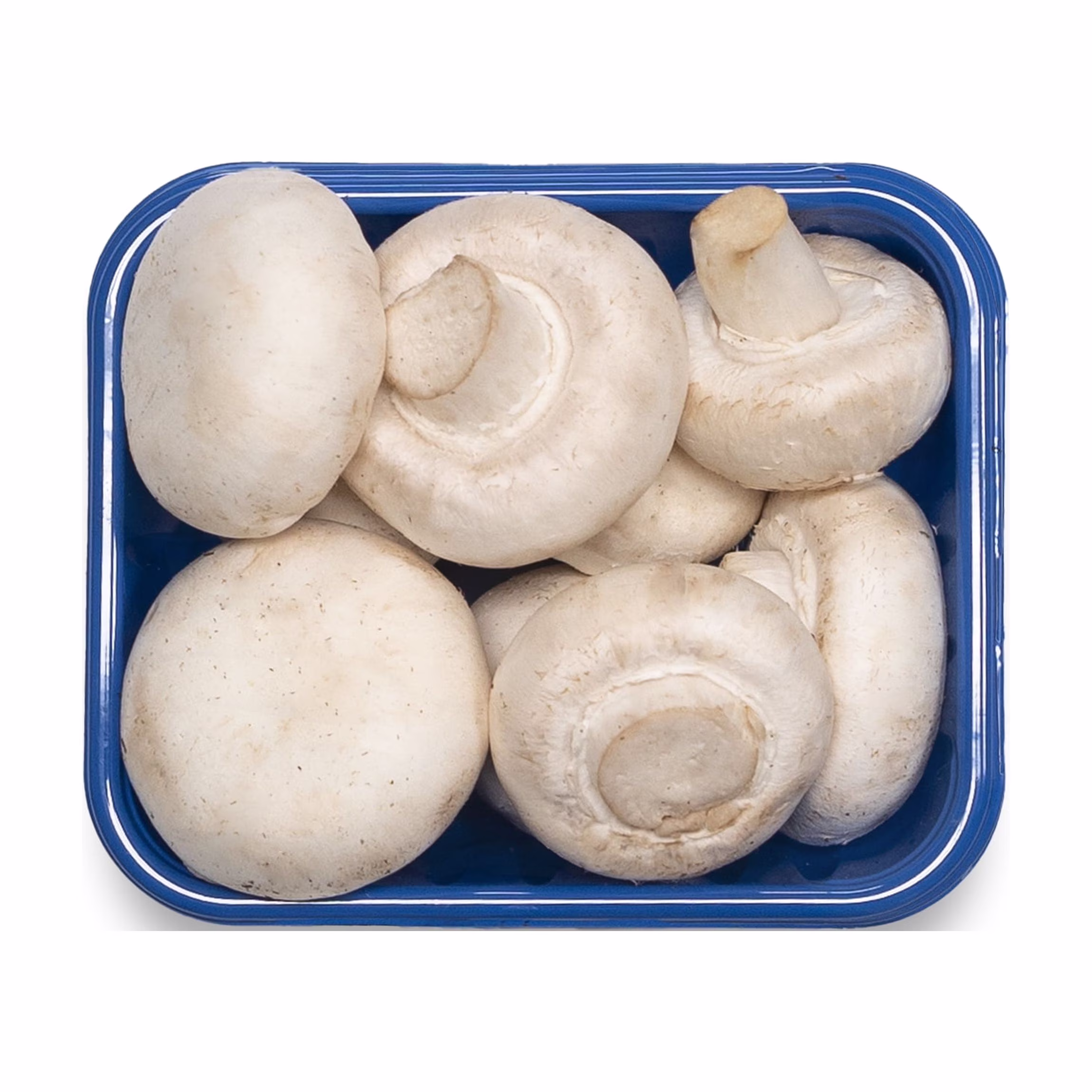 White Mushrooms 8oz PK