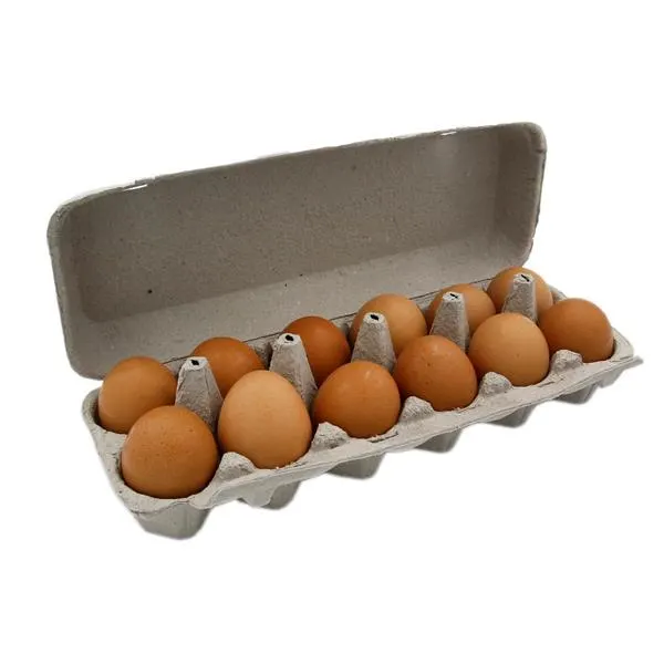 Large Brown Eggs (12ct)